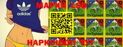 прущие грибы Можайск
