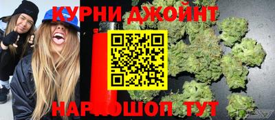 прущие грибы Можайск