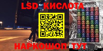 прущие грибы Можайск