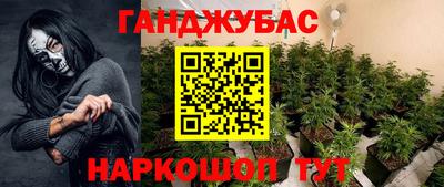 прущие грибы Можайск