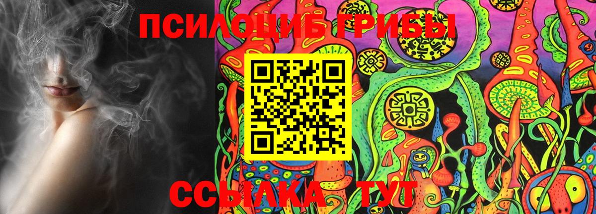 Фролово  что такое   Псилоцибиновые грибы MAGIC MUSHROOMS  Вход с VPN  Галлюциногенные грибы Psilocybe 